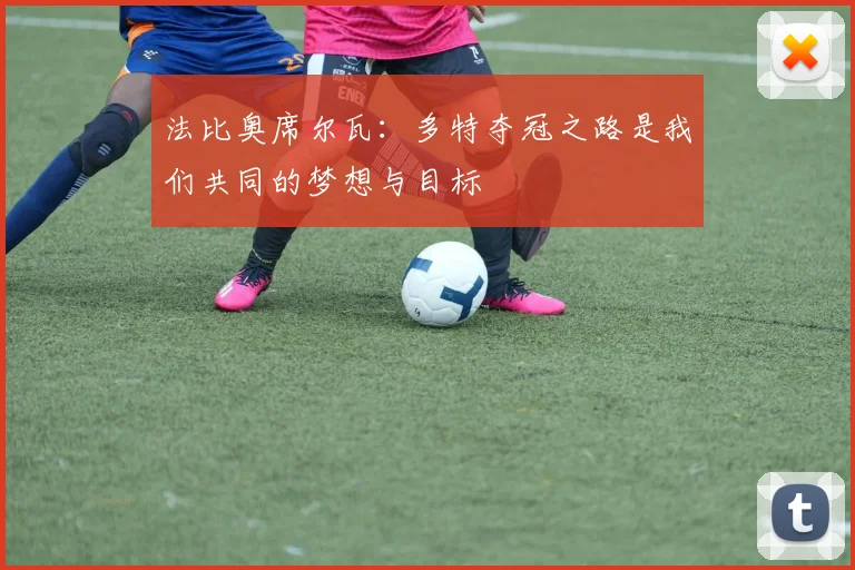 法比奥席尔瓦：多特夺冠之路是我们共同的梦想与目标